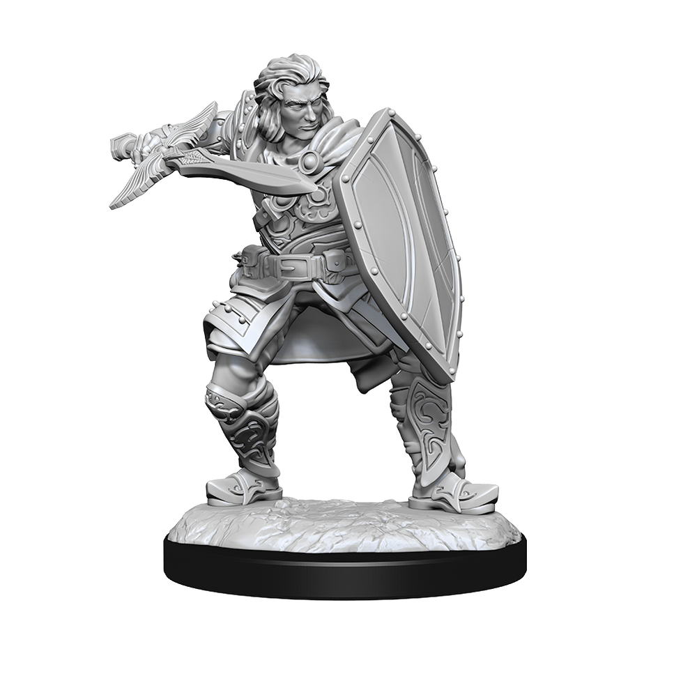 Pop Weasel Image of D&D Nolzurs Marvelous Unpainted Miniatures Human Paladin Male - Minis and Paints - Image - Pop Weasel