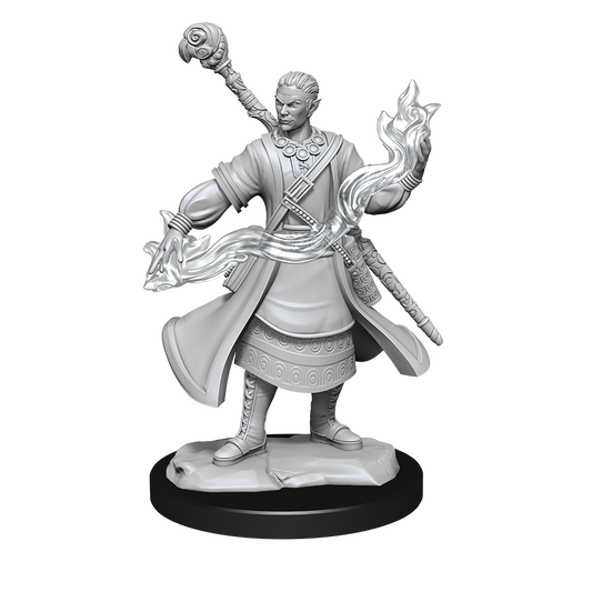 Pop Weasel Image of D&D Nolzurs Marvelous Unpainted Miniatures Half-Elf Wizard Male