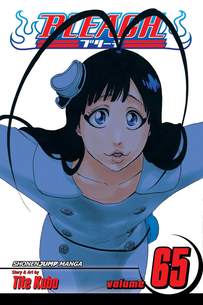 Bleach, Vol. 65 - Manga - Image - Pop Weasel
