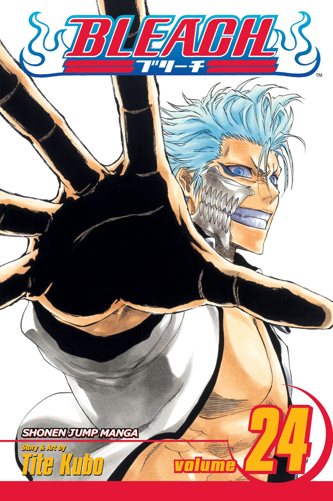 Bleach, Vol. 24 - Manga - Image - Pop Weasel