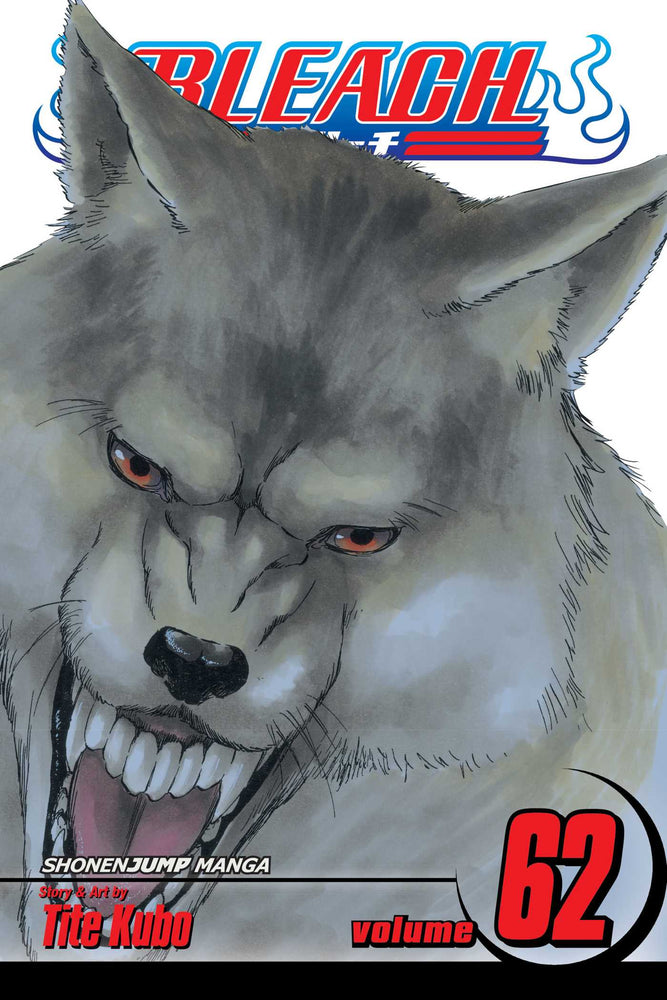 Bleach, Vol. 62 - Manga - Image - Pop Weasel