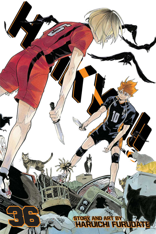 Front Cover - Haikyu!!, Vol. 36 - Pop Weasel