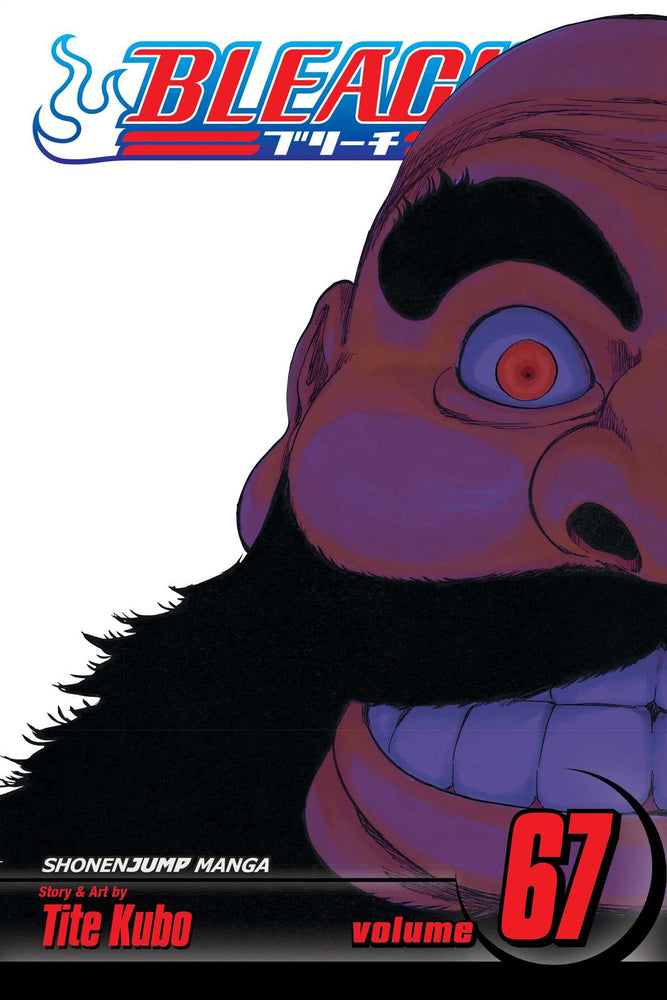 Bleach, Vol. 67 - Manga - Image - Pop Weasel
