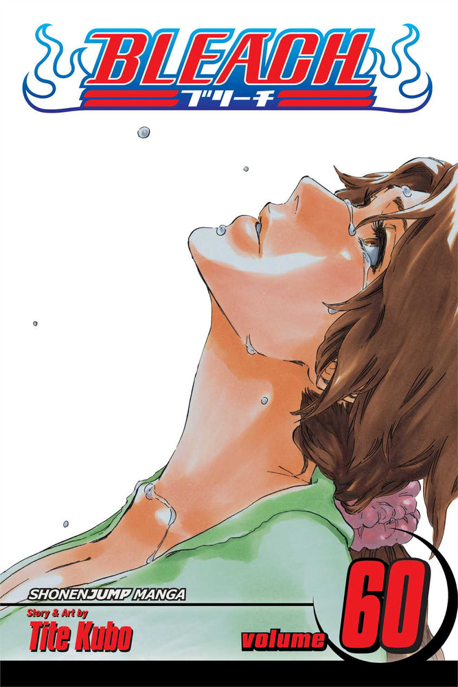Bleach, Vol. 60 - Manga - Image - Pop Weasel